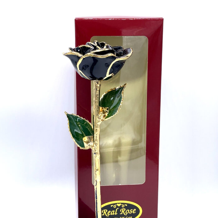 24K Gold Dipped Rose- Onyx